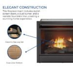Duluth Forge Dual Fuel Ventless Gas Fireplace Insert - Image 6