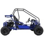 Taotao GK110 Kids Gas Go Kart Dune Buggy - Image 3