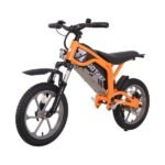 Gotrax Fitz 16" Electric Dirt Bike