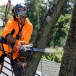 Husqvarna® T540 XP Mark III Top Handle Chainsaws - Image 6