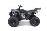 Taotao 250 Rhino Adult Utility ATV - Image 2