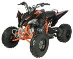 Regency PRO Ultra Sport 250cc ATV