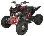 Regency PRO Ultra Sport 250cc ATV - Image 3