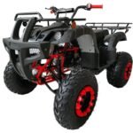 200 ATV Quad 4 Wheelers Utility Full Size Adult ATVs Big Youth ATVs