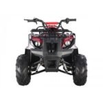 Tao Motor D125 Kids ATVs - Image 2