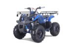 TaoTao T-Force T125 4-Wheeler All-Terrain Vehicle ATV
