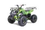 TaoTao T-Force T125 4-Wheeler All-Terrain Vehicle ATV - Image 2