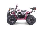 TaoTao T-Force T125 4-Wheeler All-Terrain Vehicle ATV - Image 3