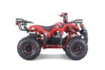 TaoTao T-Force T125 4-Wheeler All-Terrain Vehicle ATV - Image 4
