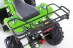 TaoTao T-Force T125 4-Wheeler All-Terrain Vehicle ATV - Image 7