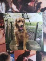 Epson EcoTank Pro ET-5850 Wireless Color All-in-One Supertank Printer C11CJ29201 - Image 9