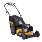 DEWALT 21" 163cc Self-Propelled Lawn Mower